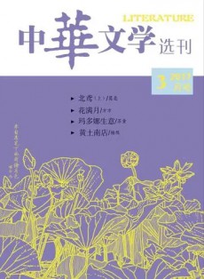 中华文学选刊